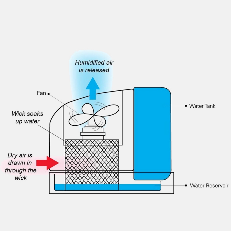 Best evaporative humidifier Best evaporative humidifier