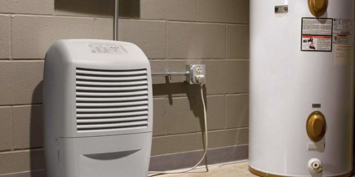 8 Best Dehumidifiers With Pumps for Basements (2025)
