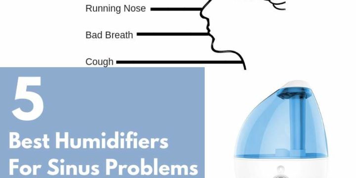 5 Best Humidifiers For Sinus Problems