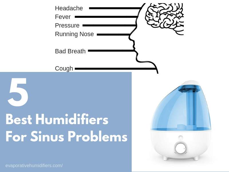 Best Humidifiers for Sinus Problem