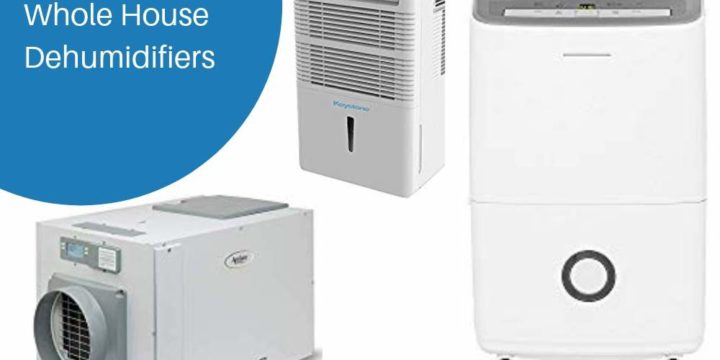 The 5 Best Whole House Dehumidifiers – Buying Guide 2024