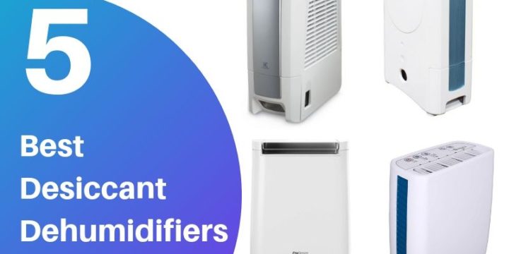 5 Best Desiccant Dehumidifiers (Reviews & Buying Guide 2024)