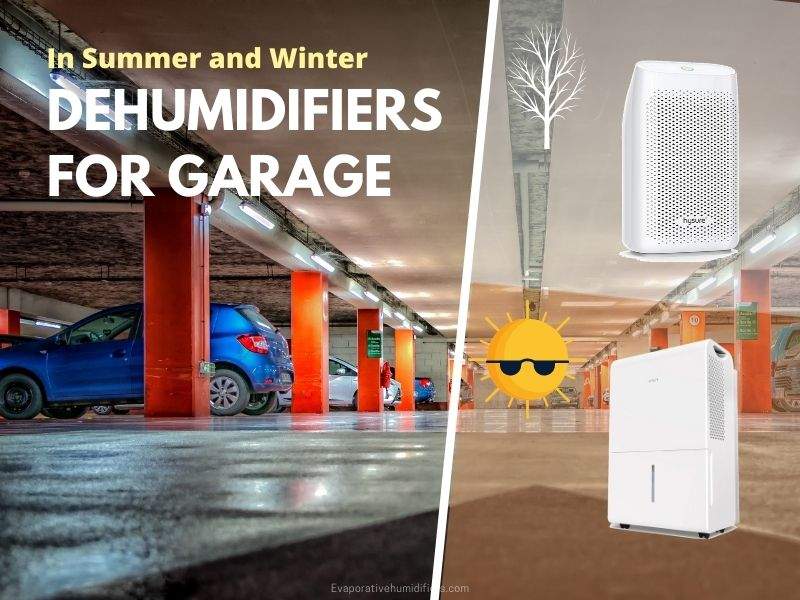 dehumidifiers for garage (in summer and winter)