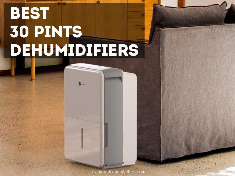 best 30 Pint dehumidifiers