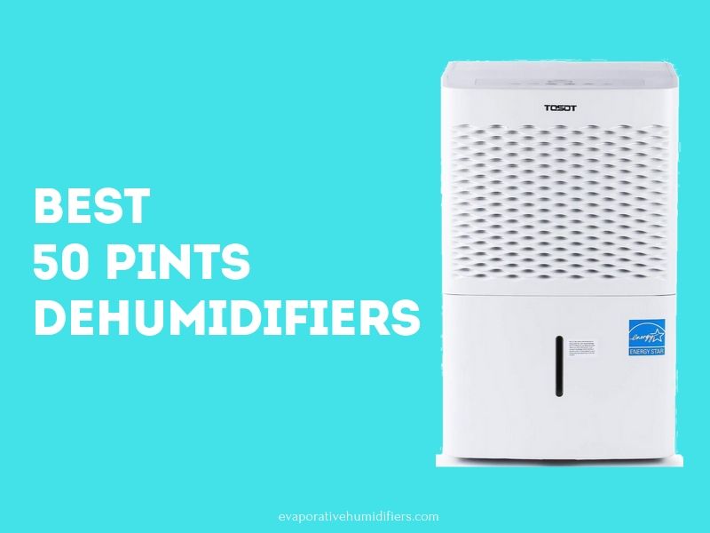 Best 50 Pint Dehumidifiers