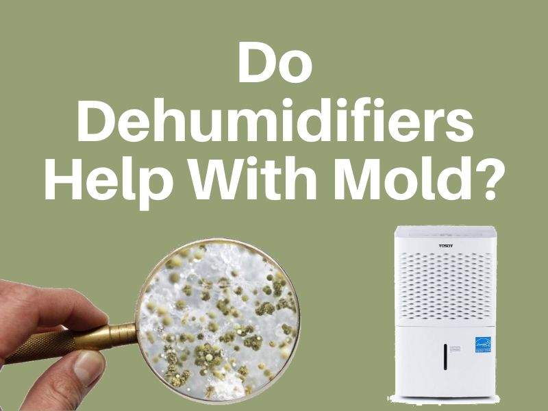 Do Dehumidifiers Help With Mold