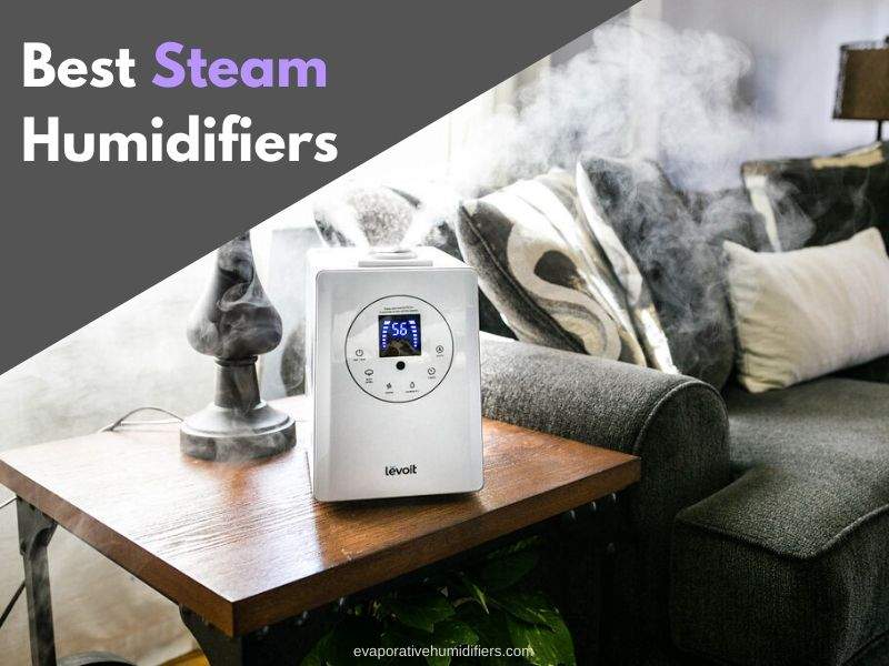 Best Steam Humidifiers
