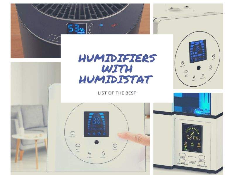 Best Humidifiers with Humidistat 