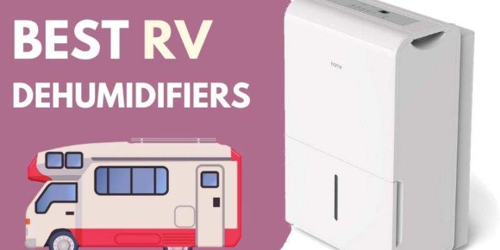 Best RV Dehumidifiers to Buy in 2024