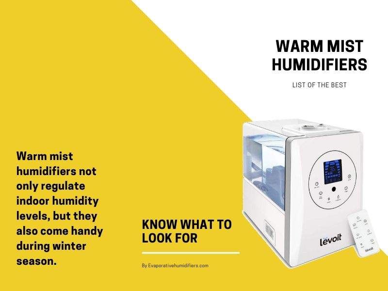 best warm mist humidifiers list