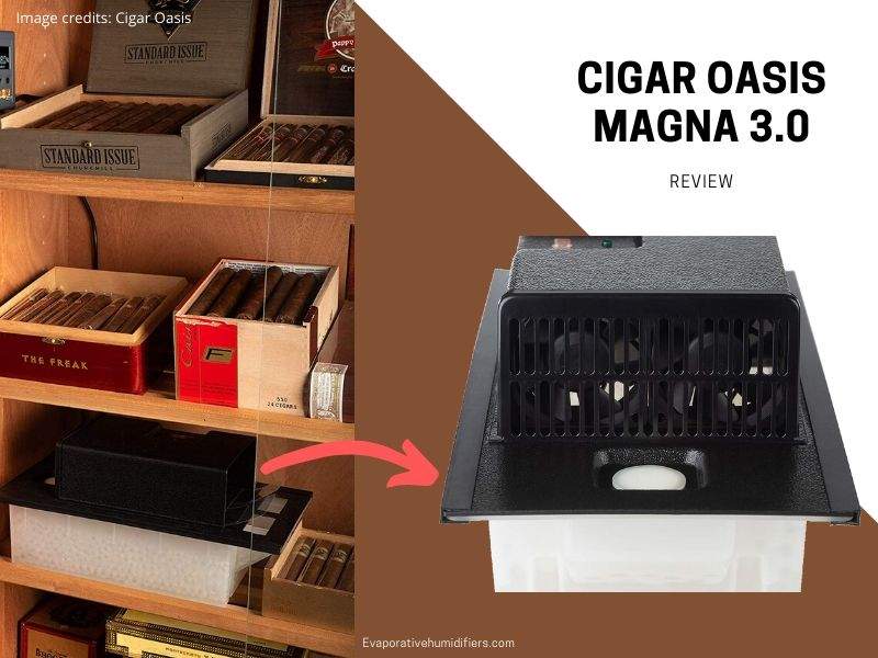 CIGAR OASIS MAGNA 3.0 humidifier review