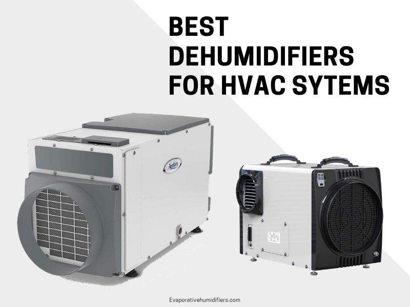 BEST DEHUMIDIFIERS FOR HVAC SYSTEM