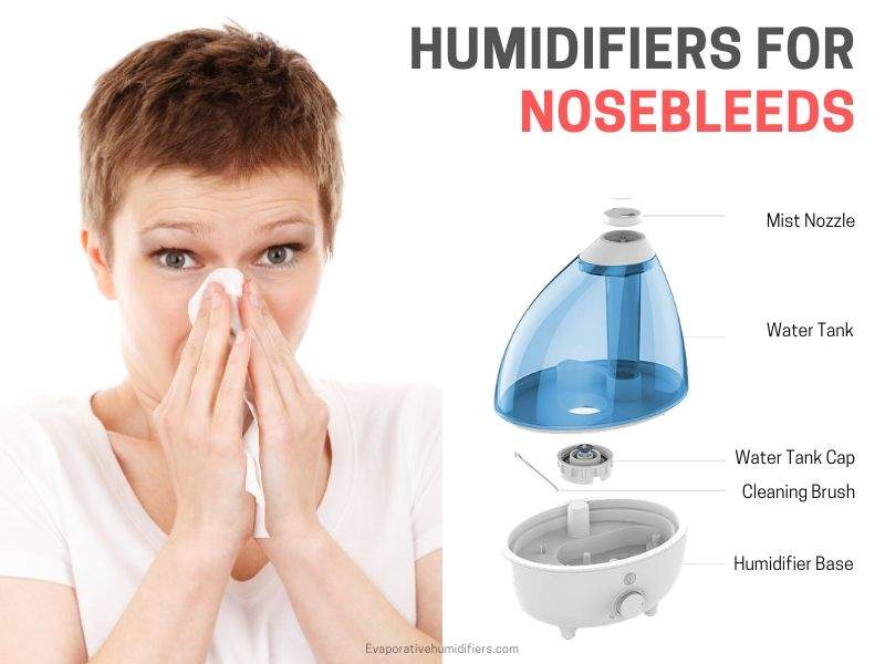Best Humidifiers For Nosebleeds