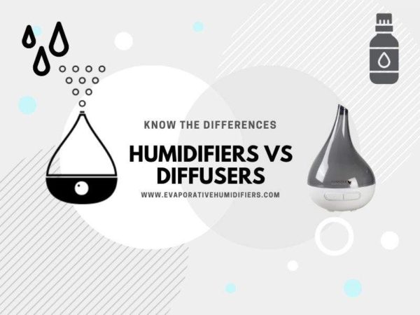 Humidifiers vs. Diffusers – Tried & Tested: What’s the Difference?