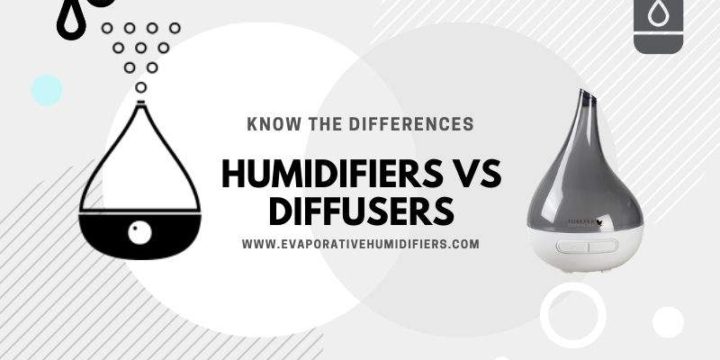 Humidifiers Vs Diffusers – What Is The Difference?