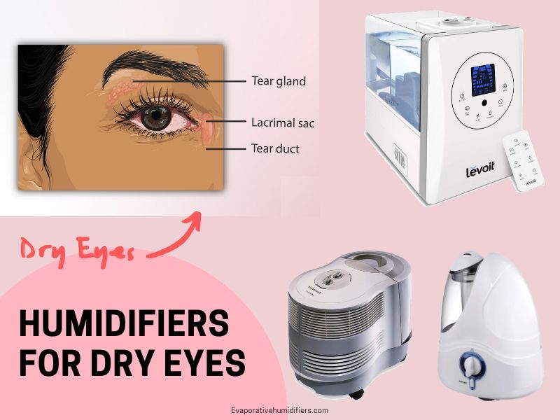best humidifiers for dry eyes