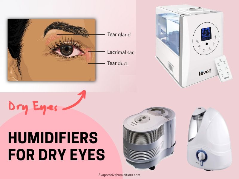 5 Best Humidifiers For Dry Eyes (Reviews and Buying Guide)