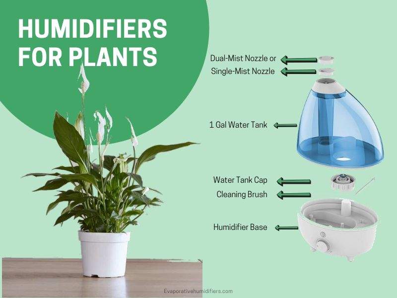 best humidifiers for plants