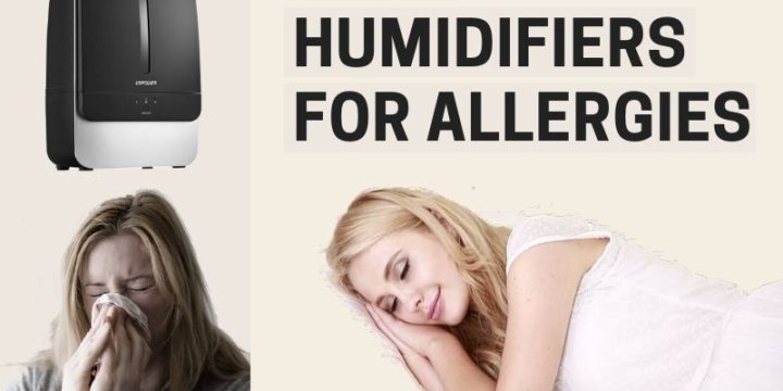 Tried & Tested: Top Humidifiers for Allergies & Asthma (2025)