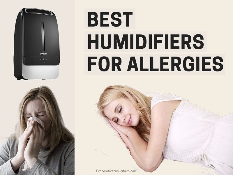 Best Humidifiers For Allergies
