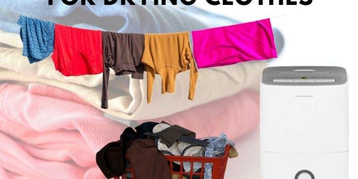 Best Dehumidifiers For Drying Clothes (Laundry Dehumidifiers 2024)