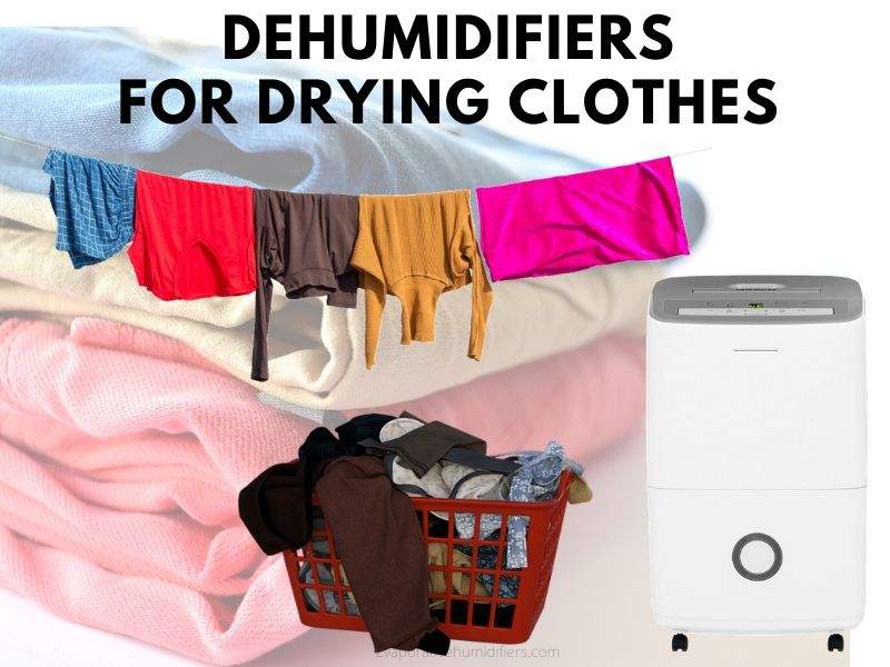 best dehumidifiers for drying clothes