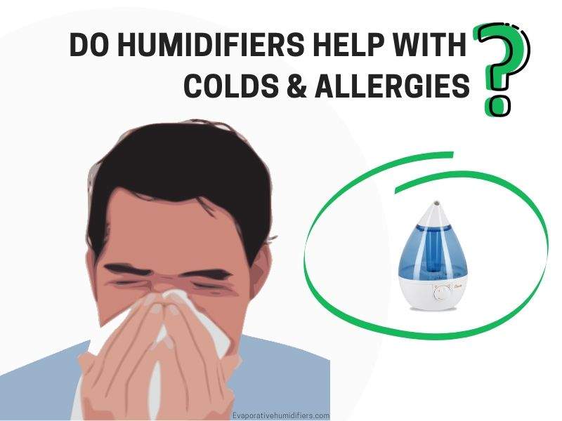 Do Humidifiers Help with Colds and allergies