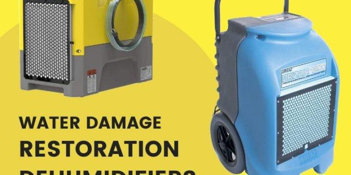 Best Water Damage Restoration Dehumidifiers (Buying Guide 2024)