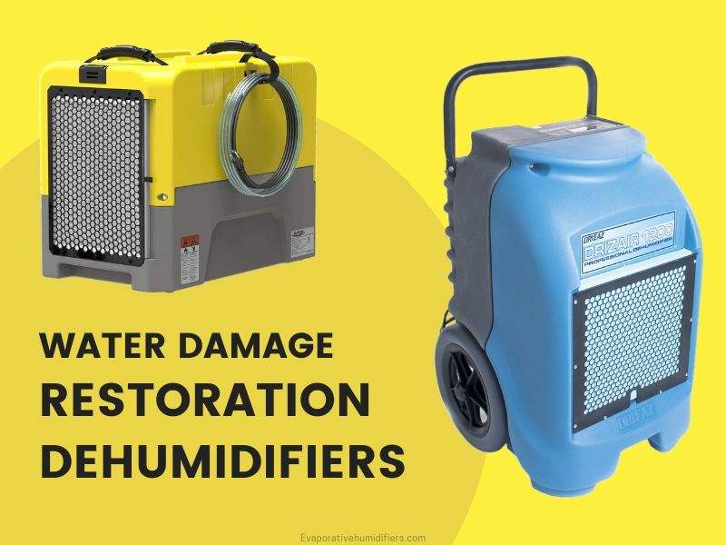 Best Water Damage Restoration Dehumidifiers List