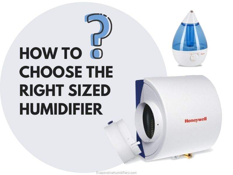 choosing the right sized humidifier