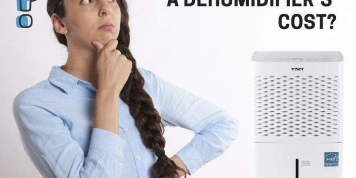 How Much Does a Dehumidifier Cost (& Factors that Determine the Cost)