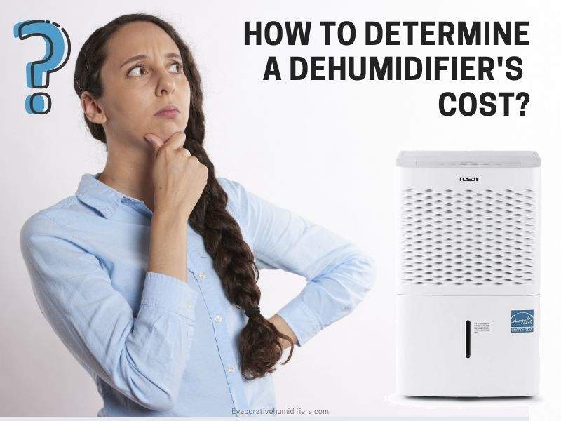 how to determine dehumidifier cost