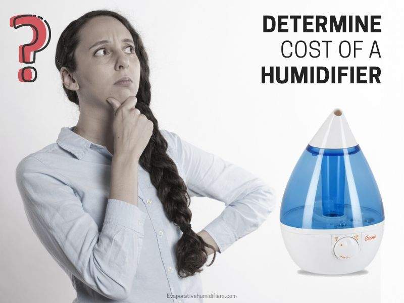 How much does humidifier cost