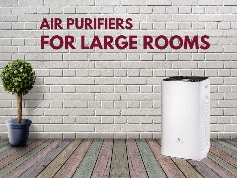 Best Air Purifiers for Large Rooms