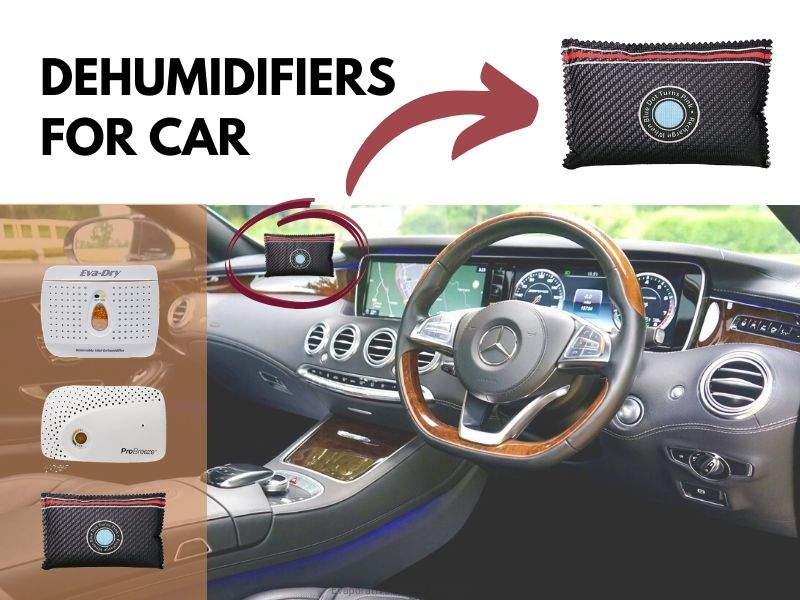 best dehumidifiers for cars