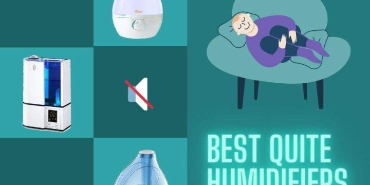 6 Best Quiet Humidifiers for your Space – Buying Guide 2024