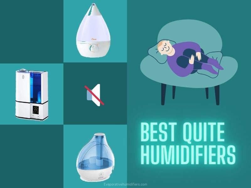 best Quite humidifiers buying guide