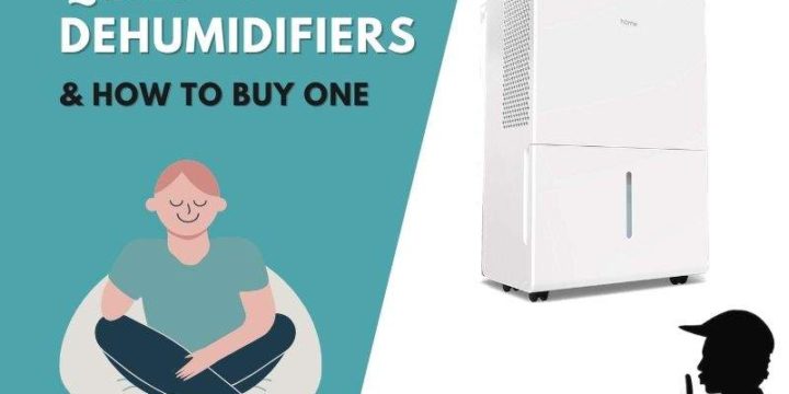 Best Quiet Dehumidifiers For 2024 And How to Choose One