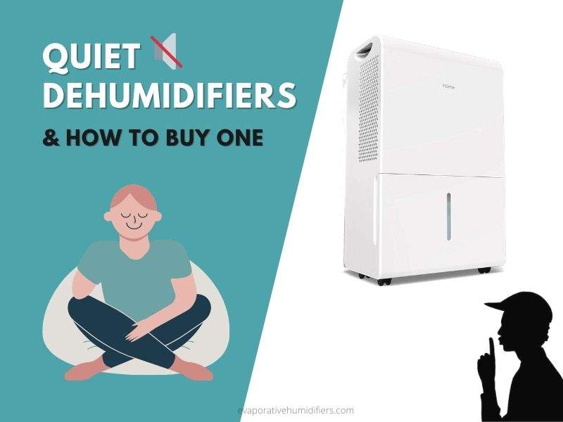 Quiet Dehumidifiers