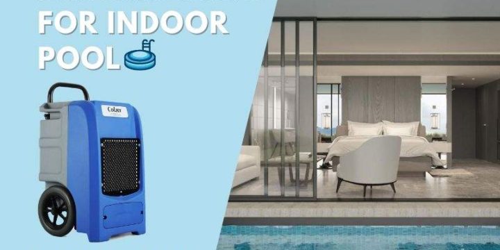 Best Indoor Pool and Spa Dehumidifiers (With Reviews)