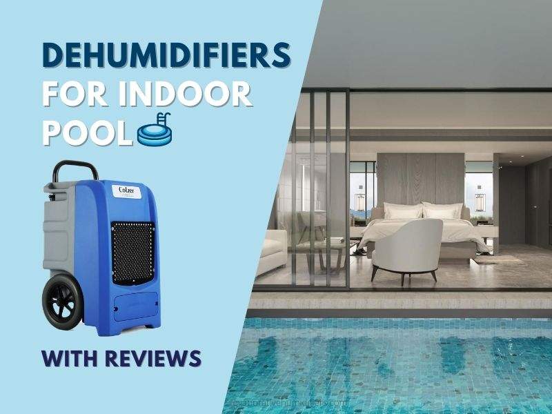 best indoor pool dehumidifiers