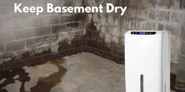 How Basement Dehumidifiers Help in Keeping Your Basement Dry