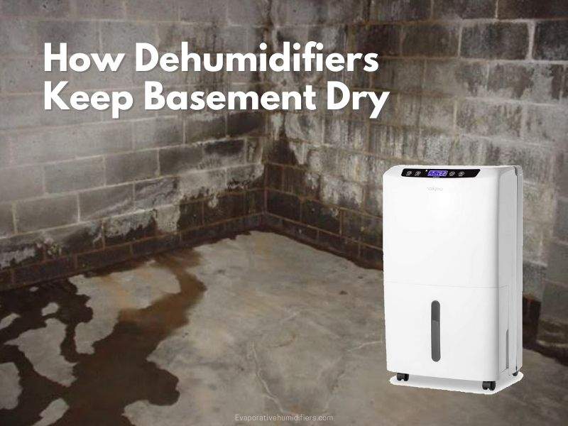 How Dehumidifiers Keep Basement Dry