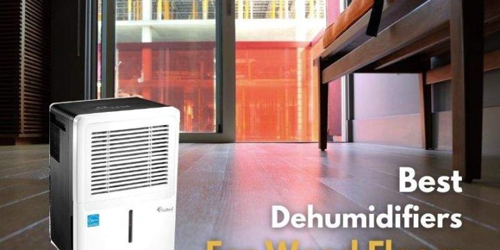 6 Best Dehumidifiers For Hardwood Floors (Buying Guide 2024)