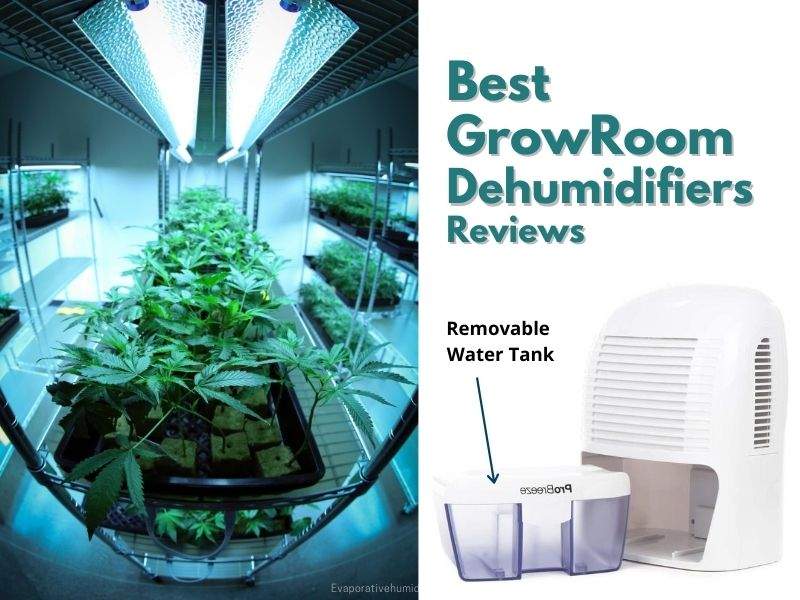 grow room dehumidifiers