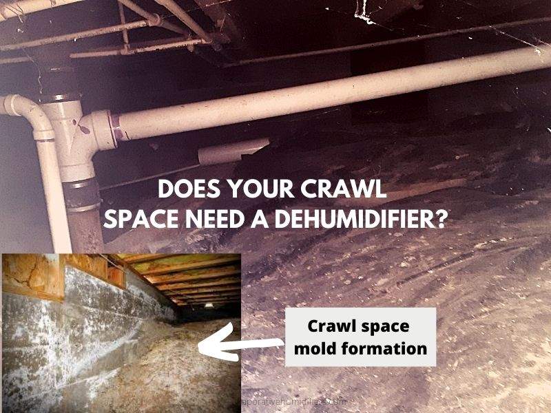 Need of dehumidifier for Crawl Space