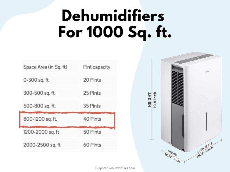 Dehumidifiers for 1000 sq. ft.