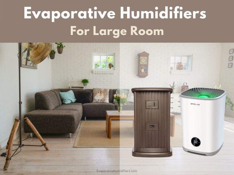 Evaporative Humidifiers For Large Room