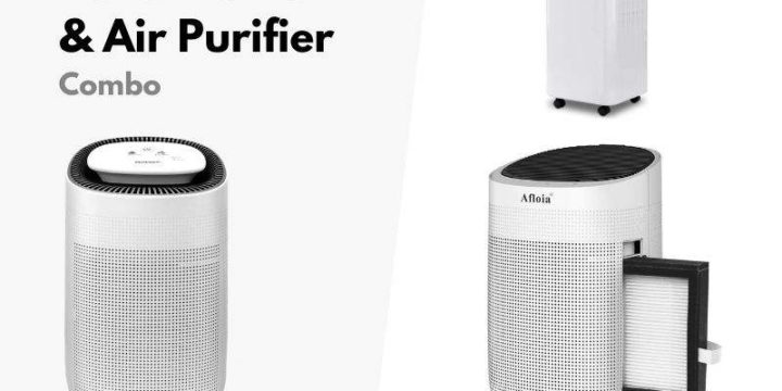 Best Dehumidifier and Air Purifier Combo – Buyer’s Guide
