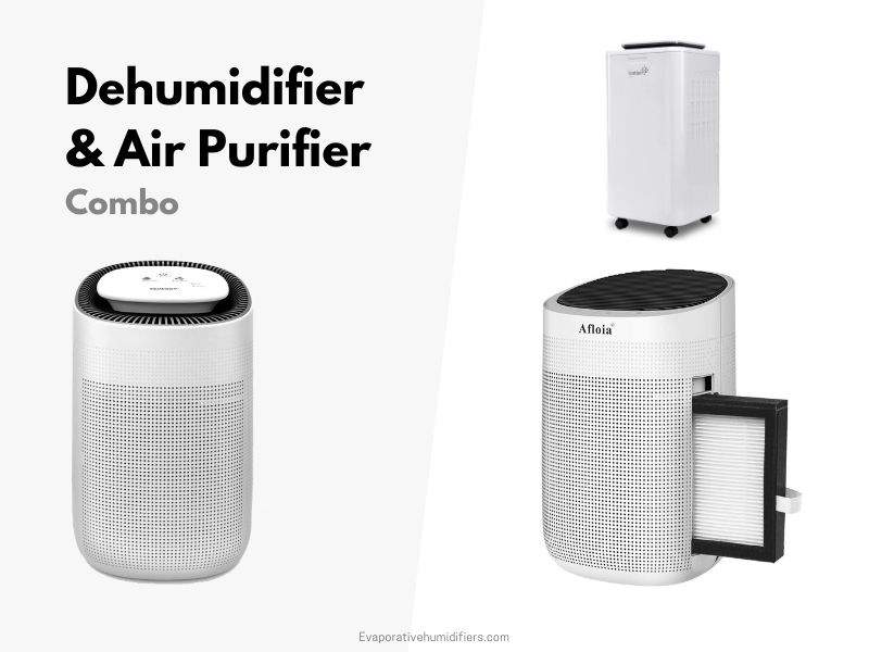 Dehumidifier and Air Purifier Combo